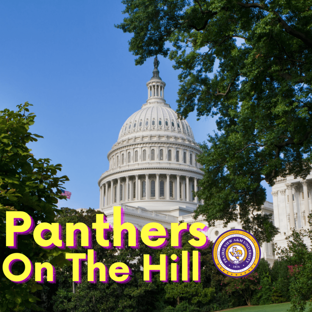 Panthers on the&nbsp;Hill